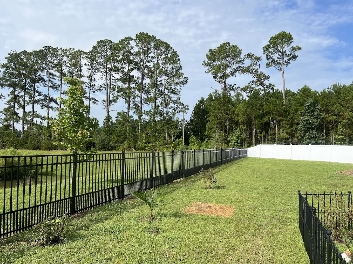 Ornamental iron fence project